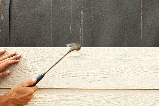 Best Engineered Wood Siding  in Key Largo, FL
